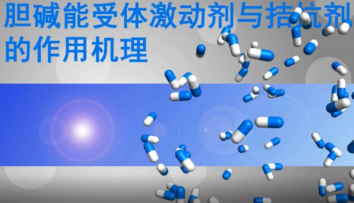 泰国借卵试管供卵的利弊