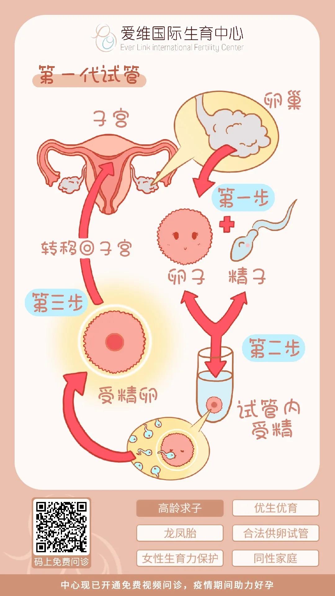 深圳公立供卵代生代怀医院能不能做双胞胎