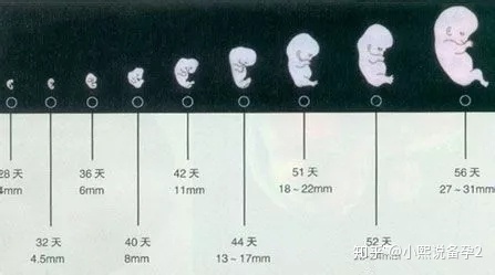 供卵试管降调选贝依还是达菲林大家可从这3点进行判断