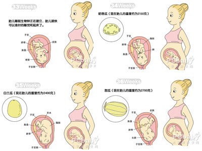 中国借用卵子多少钱四川一女子堕胎后成植物人家庭索赔300万医疗检查各种孕检项目清单医院。我和你没有任何关系