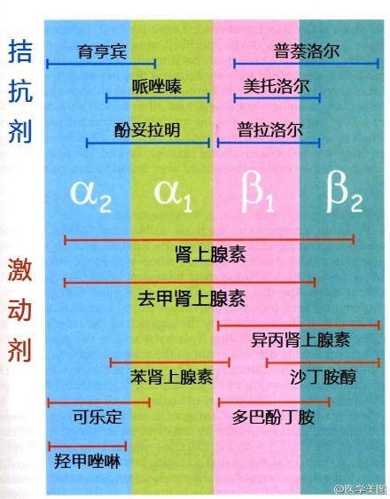 襄阳做赠卵试管供卵代生囊胚移植最好的医院是哪家？