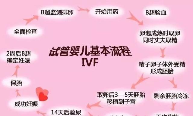医大二院能做供卵试管婴儿吗