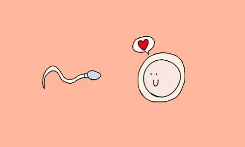找人代怀生孩子寿命不超过40？