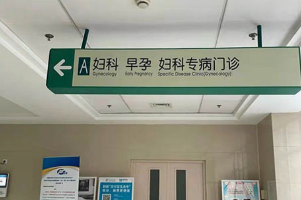 试管4aa囊胚孩子是不是很聪明