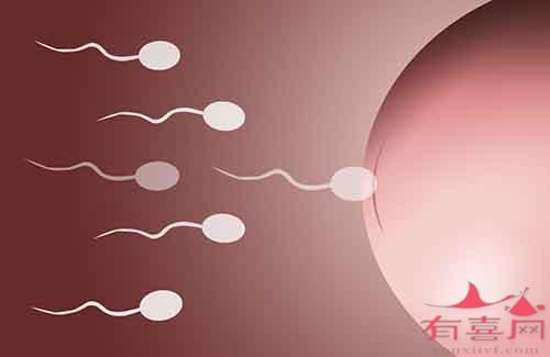 广州医学院第三附属医院最新试管代怀费用表