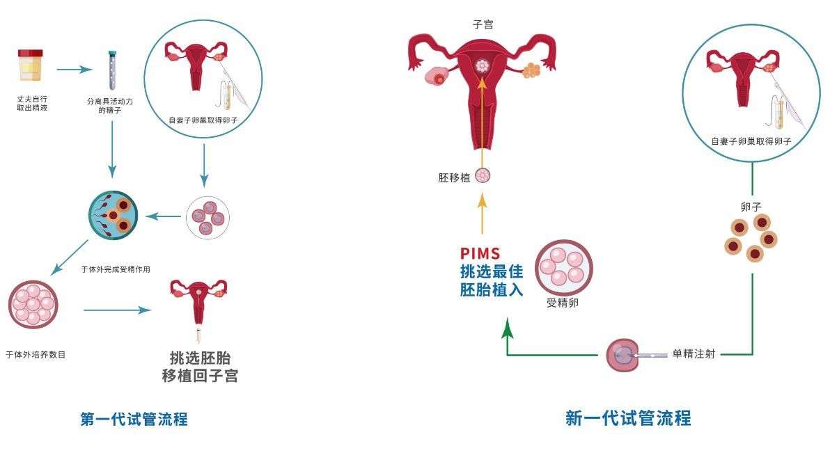 广州冷冻卵子在哪（冷冻卵子的好处你都懂吗？）