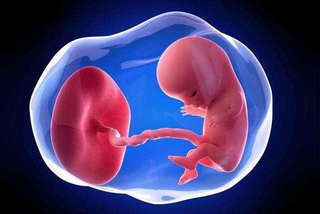 精子质量差可以试管代怀妈妈合同婴儿吗