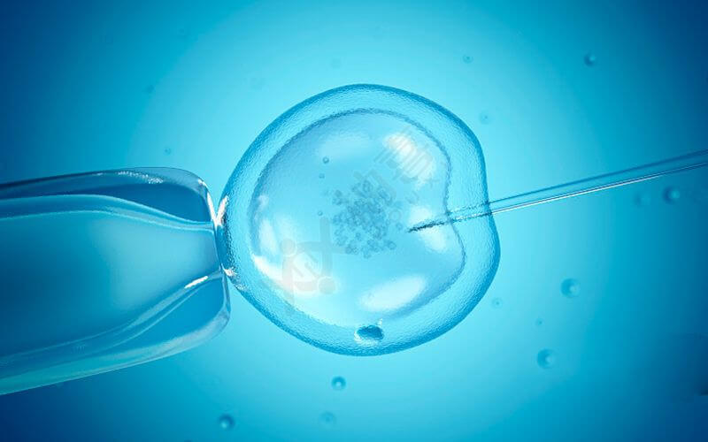 2024广州哪一家医院做人工授精的成功率比较高