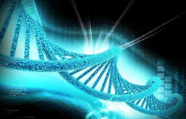 试管供卵选男女取卵的副作用_代怀孩子价格会对卵巢有副作用吗（会不会卵巢早衰!）