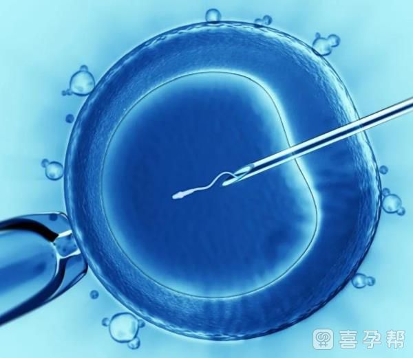 在广州等国家选择试管直营生子诊所时需要注意的问题