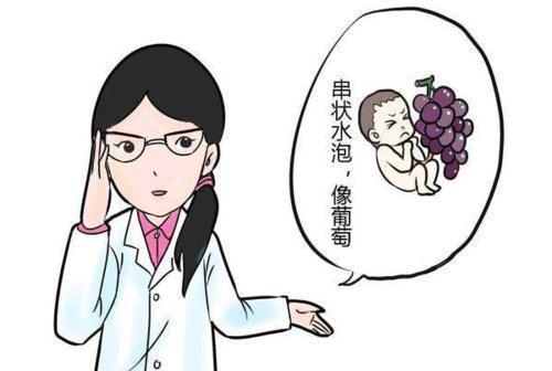 广东第二代代生宝宝价格失败3次+前往广州终于成功